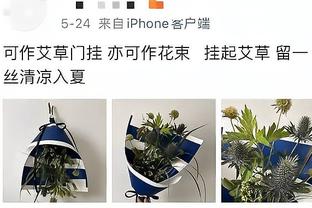 阿达尼：迪马利亚是世界最强边锋，而阿莱格里却没能将他激活